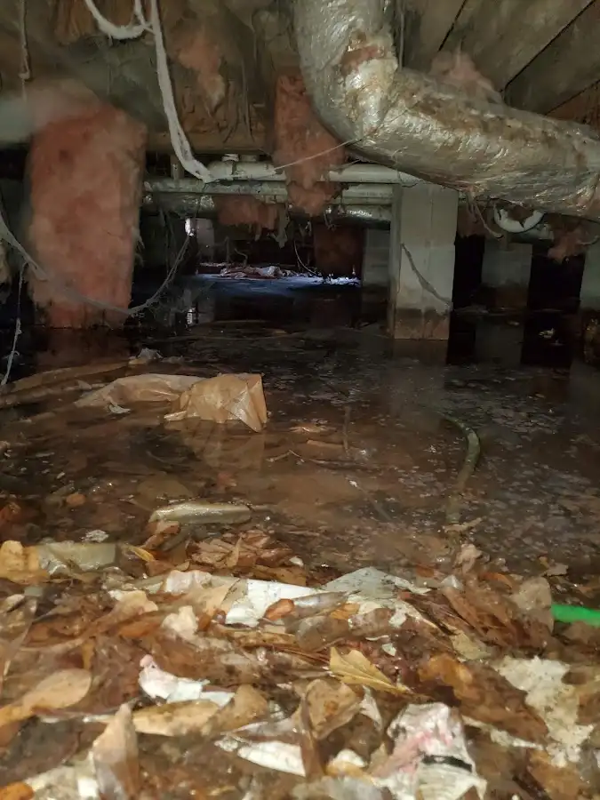 Crawl space flood assessment for Leak Detection & Repair in Minneola