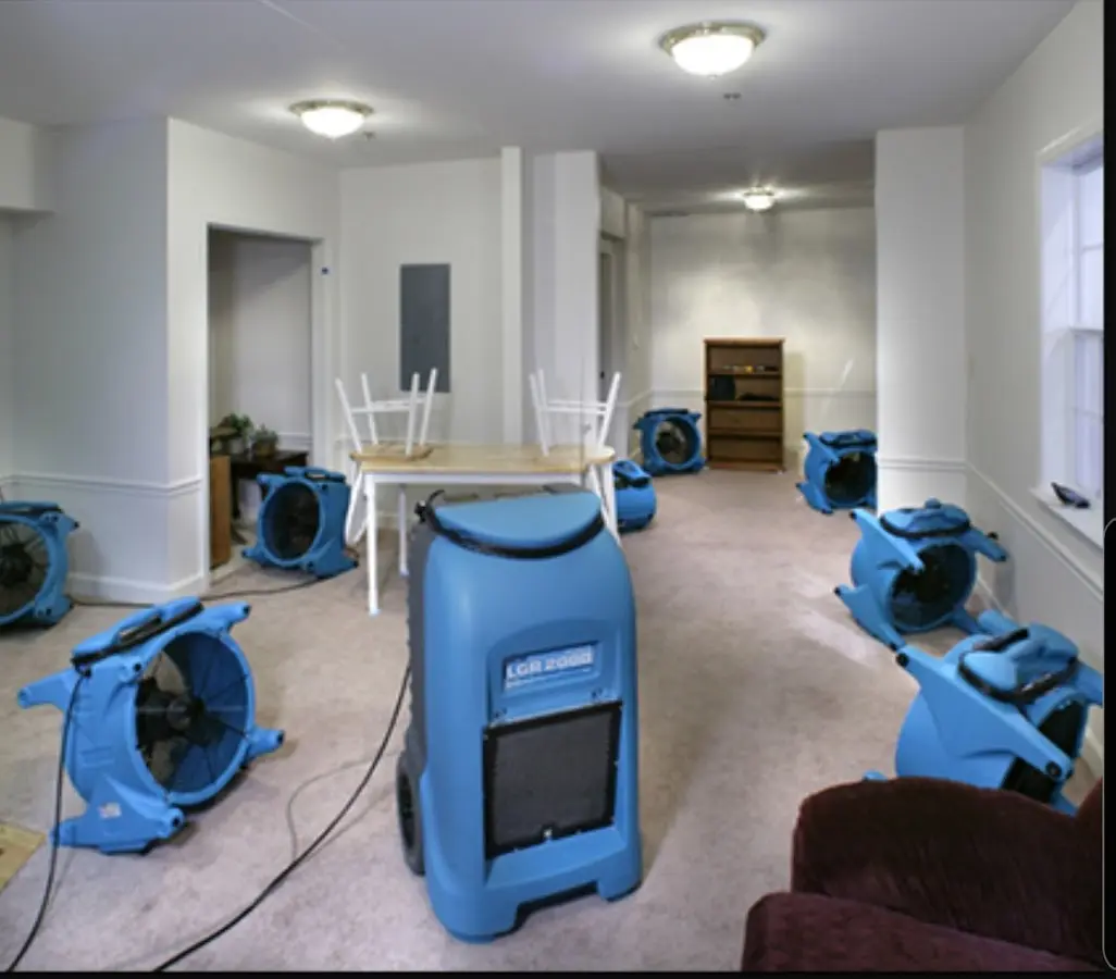 Air movers and dehumidifier setup for Water Extraction & Removal in Minneola