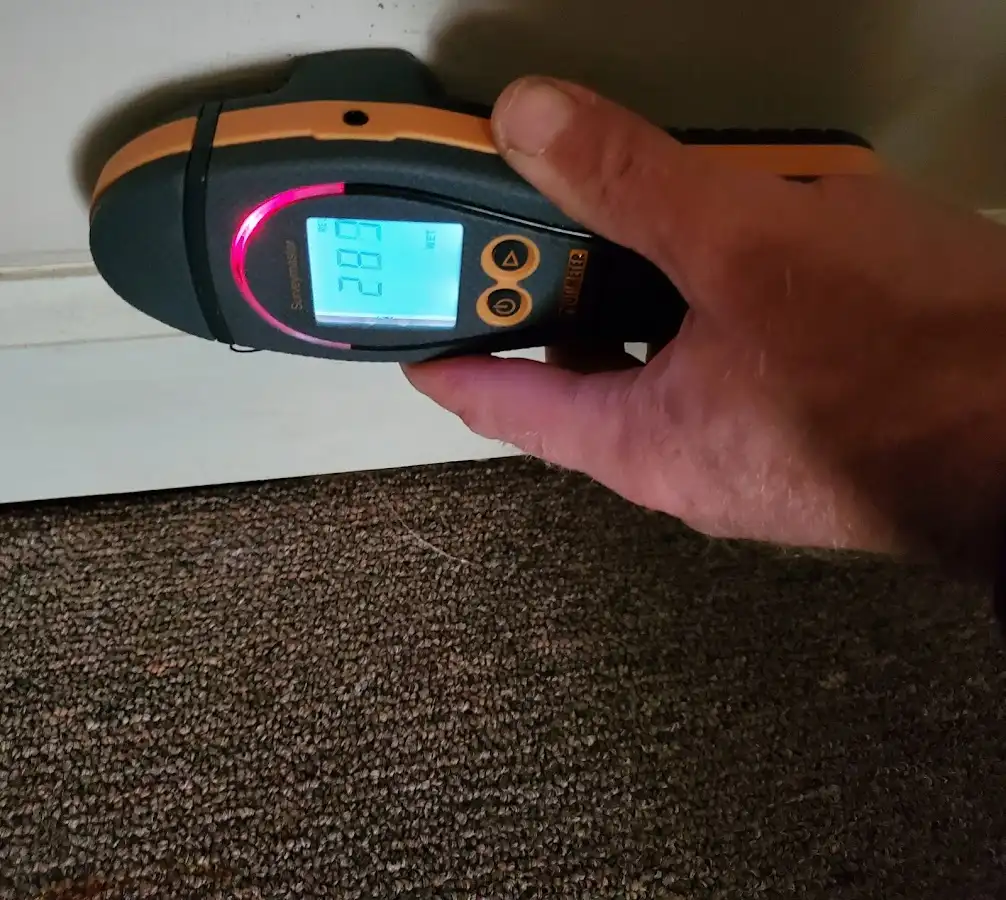 Moisture detection at baseboard during Mold Inspection & Testing in Minneola